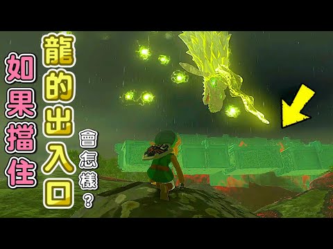 龍 深穴