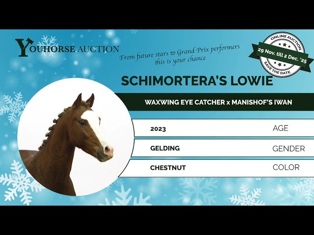 Schimoreta’s Lowie impressionvideo