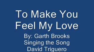 To Make You Feel My Love