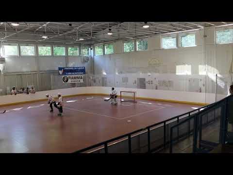 Fiamma Gorizia - Asiago Newts (secondo tempo)