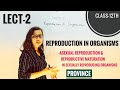 Asexual Reproduction Reproductive Maturation CBSE Class12th NEET BIOLOGY Lect2