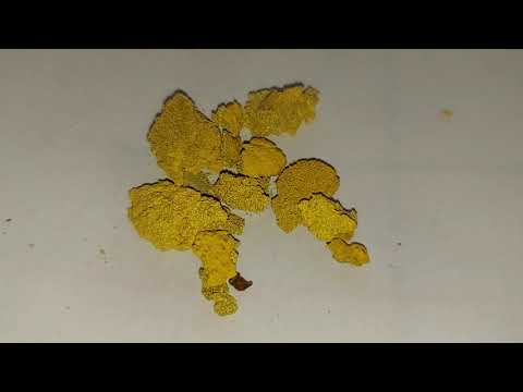 10 gramas de ouro o famoso Gold  bora assistir