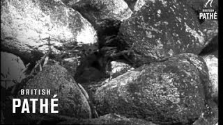 Secrets Of Nature - Springtime In The Scillies (1932)