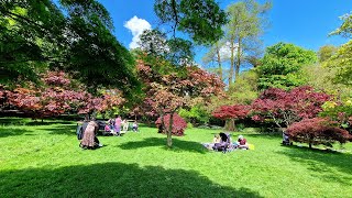 Walking Tour In Roath Park In Cardiff | Walking Tour 4K Video | South Wales, UK 🇬🇧