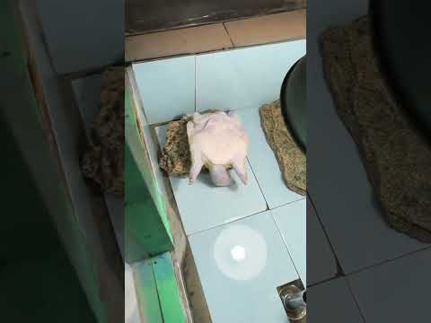 Саня устал жить без еды 🥲