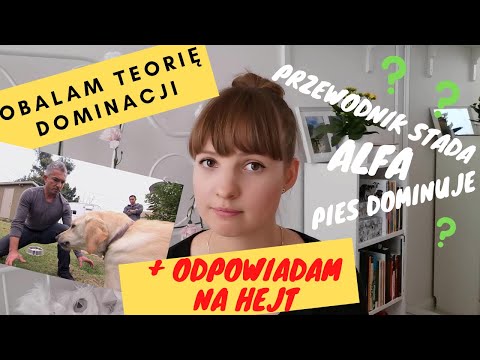 Teoria dominacji - czyli przestarzały MIT