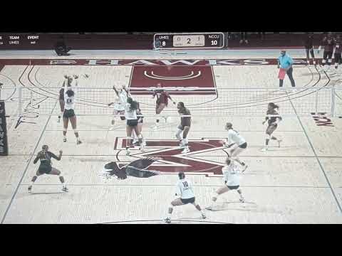 HIGHLIGHTS ROMI VACCA #11 Setter