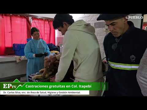 Castraciones gratuitas en Colonia Itapebí