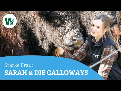 Galloways, Jagd und Verantwortung: Sarah Baumgartners Leben am Gänsberg im Bayerischen Wald