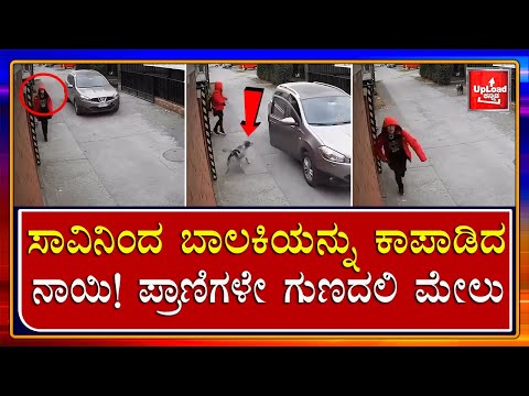 Viral News : Girl saved by street dog/heart touching video/Kannada viral news updates