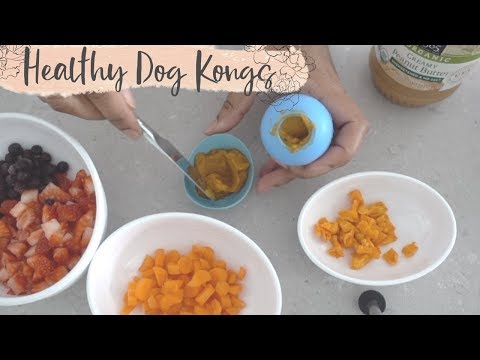 download lagu mp3 mp4 Kong Ball Recipes, download lagu Kong Ball Recipes gratis, unduh video klip Kong Ball Recipes