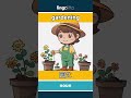 gardening - 园艺 video thumbnail