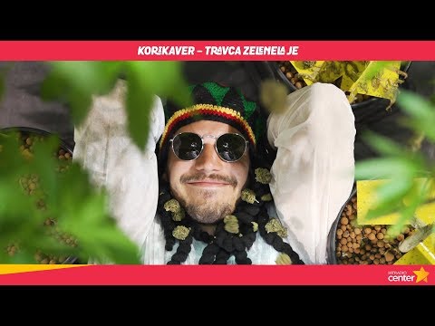 KoriKaver  - Travca zelenela je