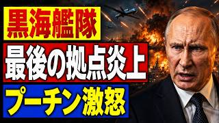 【ロシア黒海艦隊に異変】ノボロシスクが標的に…ウクライナ「15種の国産兵器」が変える戦況