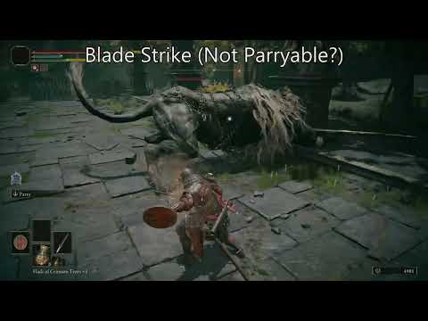 Elden Ring - Can It Be Parried : Lion Guardian