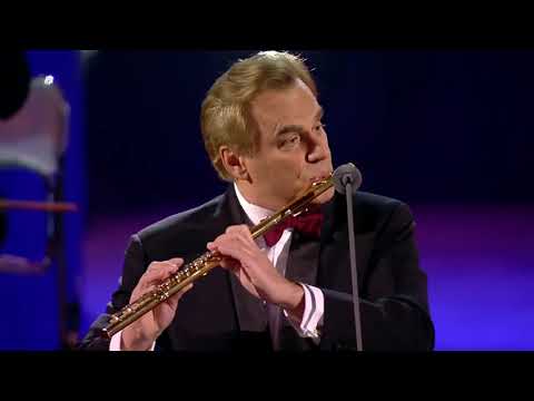 Cohen   Andrea Griminelli and Leo Rojas play Leonard Cohen's Hallelujah   Christmas 2019