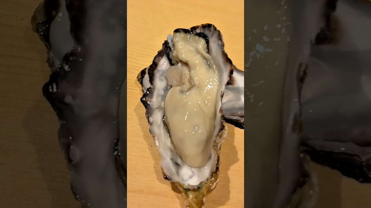 兵庫県 赤穂のブランド「サムライオイスター」！開けてみます！3/30投稿 #せり人ムタロー #料理 #shorts