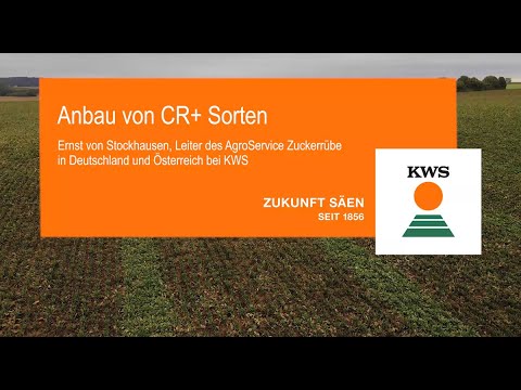 Anbau von CR+ Sorten