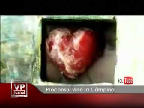 Proconsul vine la Câmpina