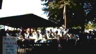 Til You Come Back to Me - Blue Moon Big Band - MD Wine Festival.mpg