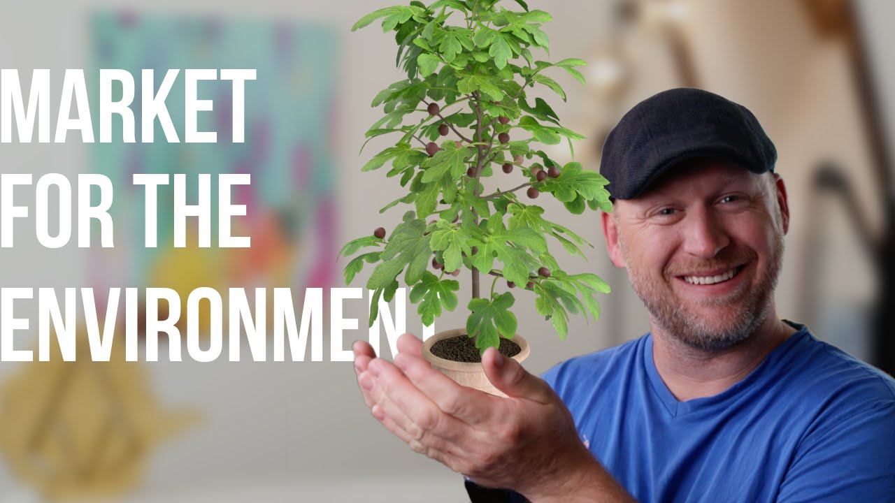 🌳 Environmental Marketing 🌳 How To Sell Products As An Environmentalist