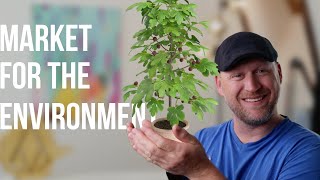🌳 Environmental Marketing 🌳 How To Sell Products As An Environmentalist