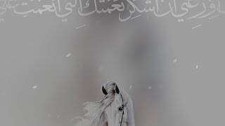 بشارة مولود بدون كتابه بدون حقوق مجانا