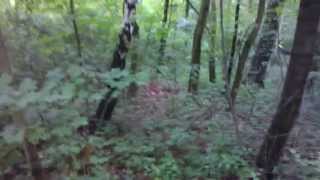 preview picture of video 'Männertag 2014 in Ostrau - Holz sammeln im Wald'