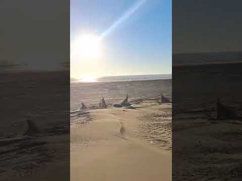 #Argentina #BuenosAires #MarChiquita