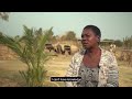 Zambian Dairy Farmer Spotlight Ruth Ngulube Of Kwanshama