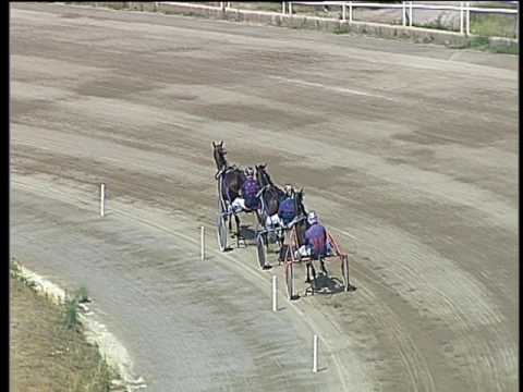 Trotto 15/06/2017 - 1ª prova di qualifica