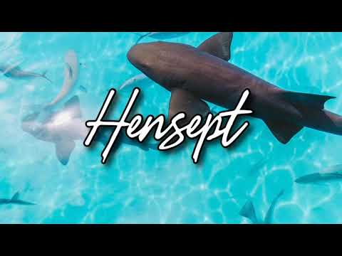 Np Heaven x Askom - Aloha - RemixZ019