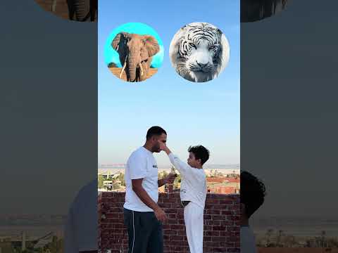 وانت ايه حيوانك المفضل !؟🔥❤️
