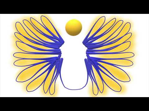 1st John Amplified Bible