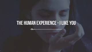 the human experience ✕ i like you || downtempo