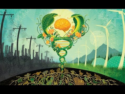 The Polish Ambassador- Nobody's Alone ft Yarah Bravo (Jumpsuit Records)