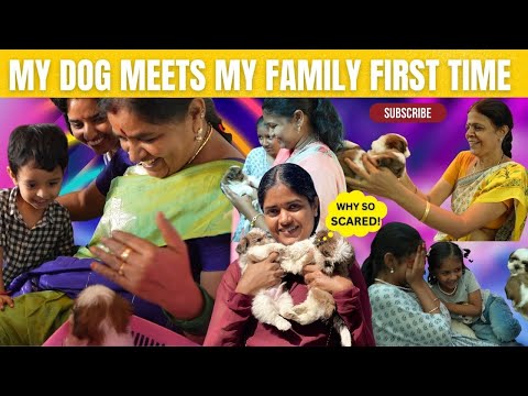 ✨Our Dog Meets Our Family For First Time✨ Mixed Reactions | Gowti Sowbi❤️❤️❤️
