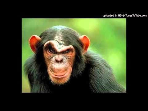 Today's Tango Is... El Monito - Osvaldo Pugliese 12-06-1945