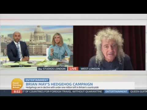 Brian May talks hedgehogs - GMB 7 May 2021