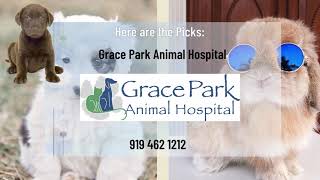 Cute pets and Top 16 Veterinarians in Raleigh, NC