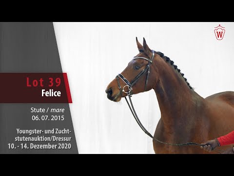 Youngster- und Zuchtstutenauktion/Dressur Lot 39 Felice Stute v. Finest -   Royal Hit