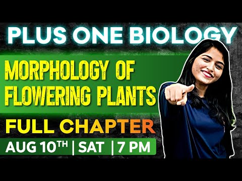 Plus One Biology | Chapter 5 | Morphology of Flowering Plants | Oneshot | Exam Winner Plus One
