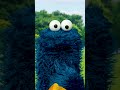 Cookie Monster Is Ready For Baseball Sesamestreet