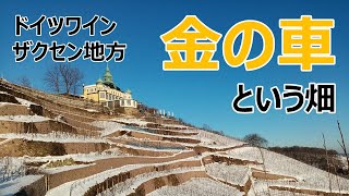 ドイツ・ザクセン地方のゴルデナー・ヴァーゲン畑 （ドイツワイン情報）