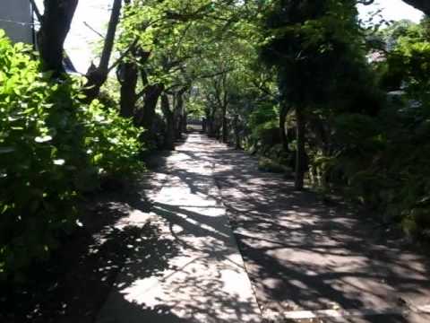 Path of Shadows and Birdsong - Kamakura - (120511)