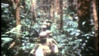 Vietnam War 1962 to 1975 - Part 1 of 3