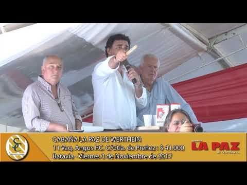 03-11-17 Venta de Vaq. A.A. P.C. y P.H. P.R. Preñ. y Paridas - Cab. La Paz de Werthein - Batavia