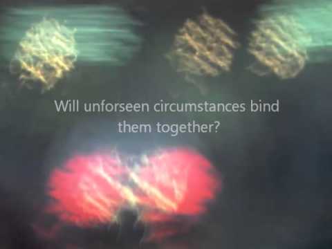 Until Forever - Trailer Darlene Shortridge