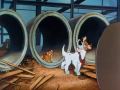 Oliver Company Why Should I Worry Hungarian NEW DUB