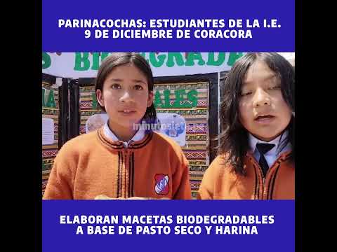 Parinacochas: estudiantes de la I.E. 9 de Diciembre de Coracora elaboran macetas biodegradables